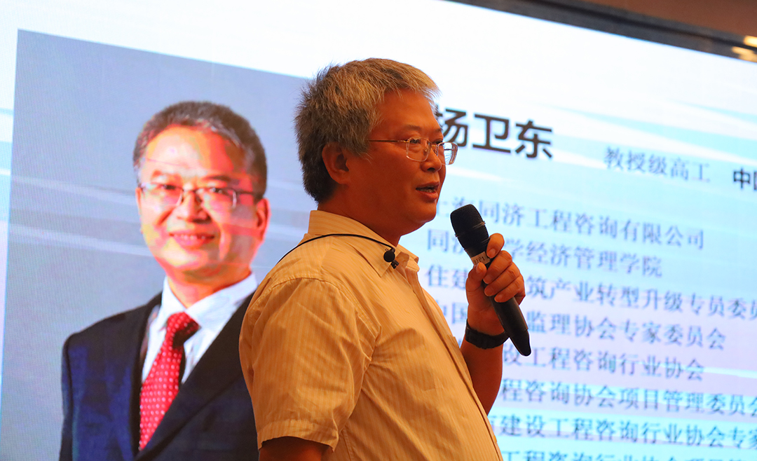 杨.jpg